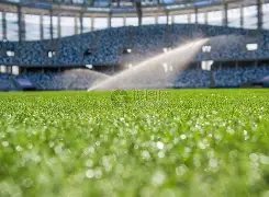 林书豪致敬,高以翔,同框球鞋亮,PP电子,PP电子平台,PP电子官网,PP电子