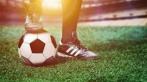 ATP杯赛事八强名单揭晓，西班牙、阿根廷、加拿大、比利时成功挺进下一轮