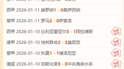 伯恩茅斯蓄势待发，挑战英格兰顶级联赛新科冠军，足总杯再战巅峰！